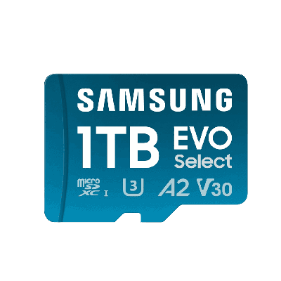 1 Tb MicroSD Card