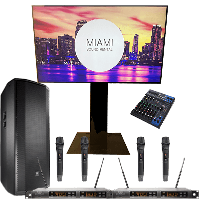  Large 4 Mic Karaoke Bundle