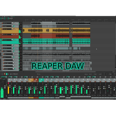Reaper DAW Software