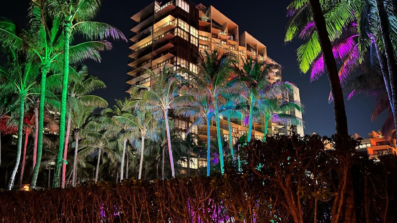 Palm trees and landscaping illuminated in multiple colors outside a South Florida building