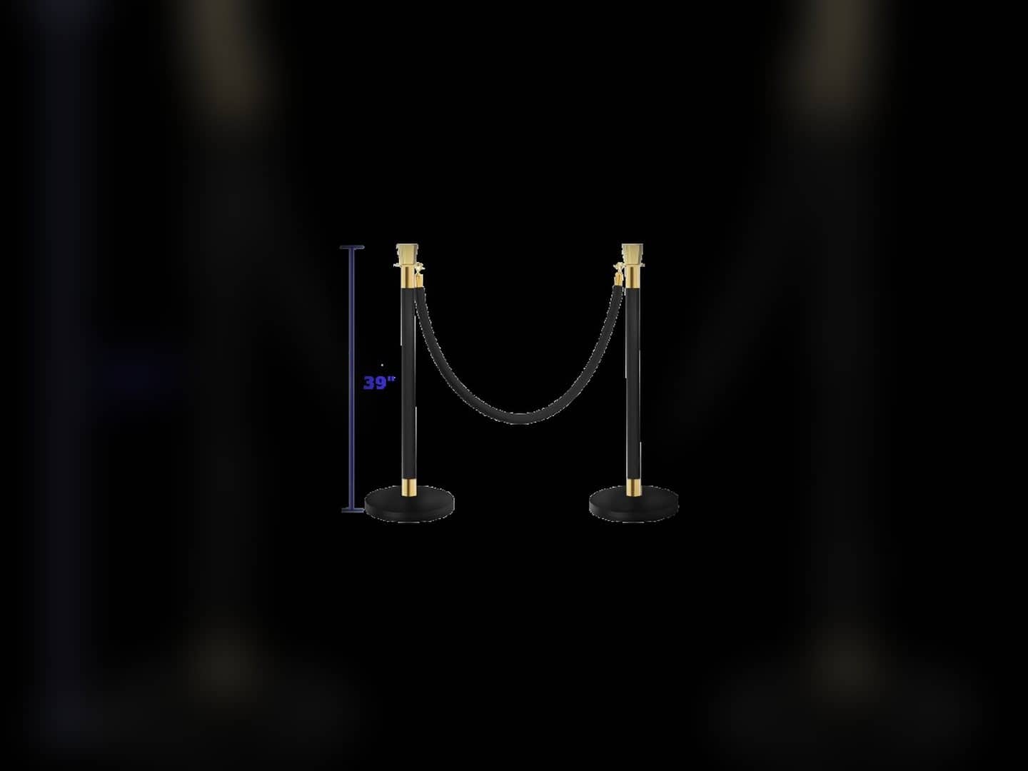 Two black-and-gold stanchions connected by a black velvet rope